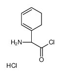 (R)-alpha-aminocyclohexadieneacetyl chloride hydrochloride structure