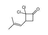 2,2-dichloro-3-(2-methylprop-1-enyl)cyclobutan-1-one Structure
