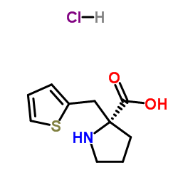 (R)-ALPHA-(2-THIOPHENYLMETHYL)-PROLINE-HCL结构式