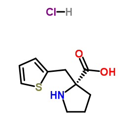 (R)-ALPHA-(2-THIOPHENYLMETHYL)-PROLINE-HCL picture