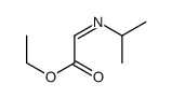 ethyl 2-propan-2-yliminoacetate结构式