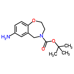 7-Amino-2,3-dihydro-1,4,-benzoxazepine 1,1-Dimethyl Ester Structure