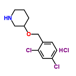 3-[(2,4-Dichlorobenzyl)oxy]piperidine hydrochloride (1:1) Structure