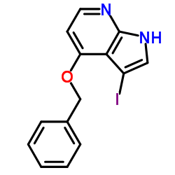 3-碘-4-苄氧基-7-氮杂吲哚图片