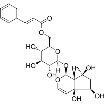 6'-O-肉桂酰基哈巴苷结构式