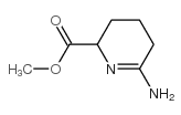 2-Pyridinecarboxylicacid,6-amino-2,3,4,5-tetrahydro-,methylester(9CI) picture