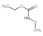 Ethyl N-methoxycarbamate picture