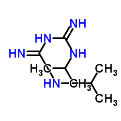 N,N'-Diisopropylimidodicarbonimidic diamide结构式