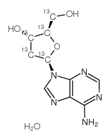 2'-Deoxy-β-D-adenosine-13C5 Monohydrate Structure