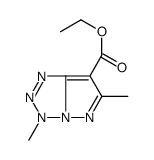 ethyl 3,6-dimethylpyrazolo[5,1-e]tetrazole-7-carboxylate结构式