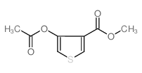 4-乙酰氧基噻吩-3-羧酸甲酯图片