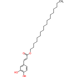 Octadecyl (2E)-3-(3,4-dihydroxyphenyl)acrylate picture