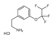 2-[3-(1,1,2,2-tetrafluoroethoxy)phenyl]ethanamine,hydrochloride Structure