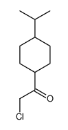 Ethanone, 2-chloro-1-[4-(1-methylethyl)cyclohexyl]- (9CI) Structure
