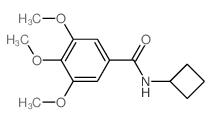 Benzamide,N-cyclobutyl-3,4,5-trimethoxy- Structure