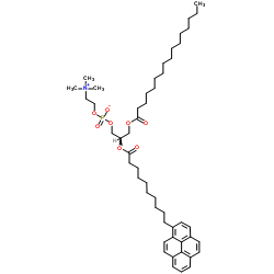 10-Pyrene-PC (1-Palmitoyl-2-pyrenedecanoyl Phosphatidylcholine) structure