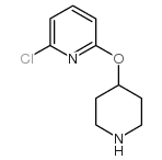 2-氯-6-(哌啶-4-氧基)-吡啶图片