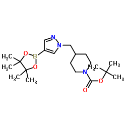 1092563-72-8 structure