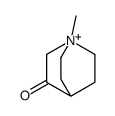 1-methyl-1-azoniabicyclo[2.2.2]octan-3-one Structure