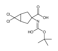 3-(Boc-氨基)-6,6-二氯双环[3.1.0]己烷-3-羧酸结构式