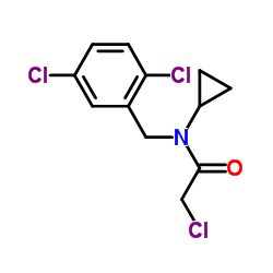 2-Chloro-N-cyclopropyl-N-(2,5-dichlorobenzyl)acetamide结构式