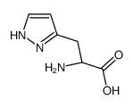(2S)-2-amino-3-(1H-pyrazol-5-yl)propanoic acid Structure