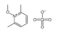 1-methoxy-2,6-dimethylpyridin-1-ium,perchlorate Structure
