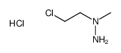 1-(2-chloroethyl)-1-methylhydrazine,hydrochloride Structure