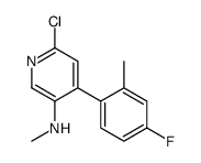6-chloro-4-(4-fluoro-2-methylphenyl)-N-methylpyridin-3-amine Structure