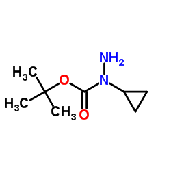 2-Methyl-2-propanyl 1-cyclopropylhydrazinecarboxylate structure