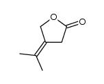 4-(1-methylethylidene)tetrahydrofuran-2-one结构式