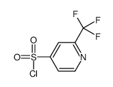 2-TRIFLUOROMETHYL-PYRIDINE-4-SULFONYL CHLORIDE结构式