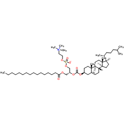 1-棕榈酰基-2-胆固醇基羰基-sn-甘油-3-磷酸胆碱图片