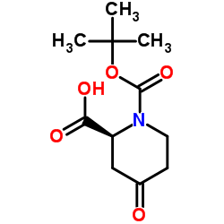 (2S)-N-(Boc)-4-oxopipecolic acid structure