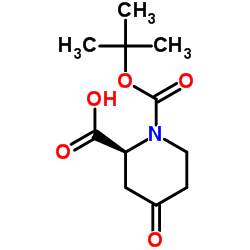 (2S)-N-(Boc)-4-oxopipecolic acid Structure