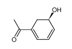 Ethanone, 1-(5-hydroxy-1,3-cyclohexadien-1-yl)-, (R)- (9CI) Structure