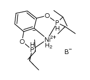(iPrPOCOP)Ni(η2-BH4) Structure
