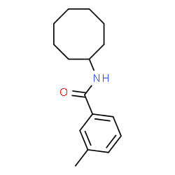 N-CYCLOOCTYL-3-METHYLBENZENECARBOXAMIDE Structure