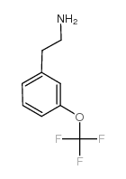 2-(3-三氟甲氧基-苯基)-乙胺图片