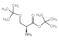 H-丝氨酰(TBU)-OTBU结构式