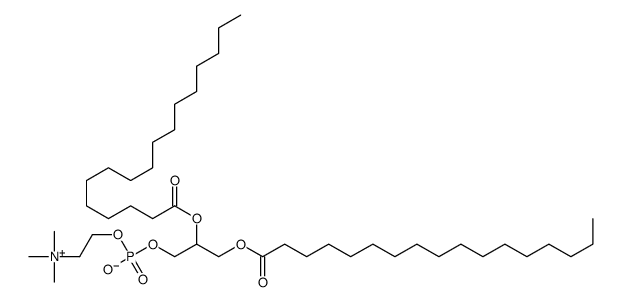 1,2-heptadecanoylphosphatidylcholine Structure