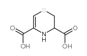 3,4-Dihydro-2H-1,4-thiazine-3,5-dicarboxylic acid picture