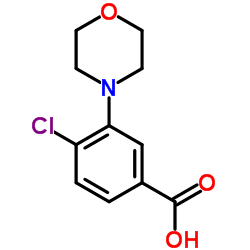 4-CHLORO-3-MORPHOLIN-4-YL-BENZOIC ACID Structure