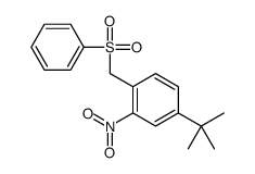 1-(benzenesulfonylmethyl)-4-tert-butyl-2-nitrobenzene结构式