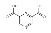 吡嗪-2,6-二羧酸结构式