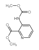 2-Pyridinecarboxylicacid,3-[(methoxycarbonyl)amino]-,methylester(9CI) Structure