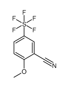 2-Methoxy-5-(pentafluoro-λ6-sulfanyl)benzonitrile structure