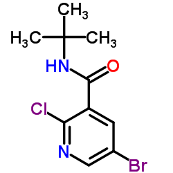 3-Pyridinecarboxamide, 5-bromo-2-chloro-N-(1,1-dimethylethyl)-结构式