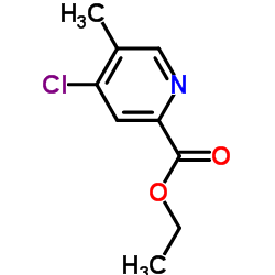 4-氯-5-甲基吡啶-2-羧基乙酯结构式