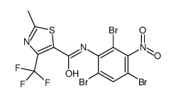 2-methyl-N-(2,4,6-tribromo-3-nitrophenyl)-4-(trifluoromethyl)-1,3-thiazole-5-carboxamide Structure
